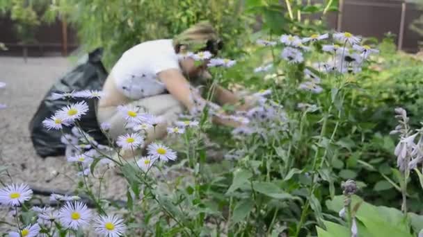 Caucásico Paisaje Diseñador Trabajador Mujer Deshierbe Hierba Verde Fresca Malezas — Vídeos de Stock