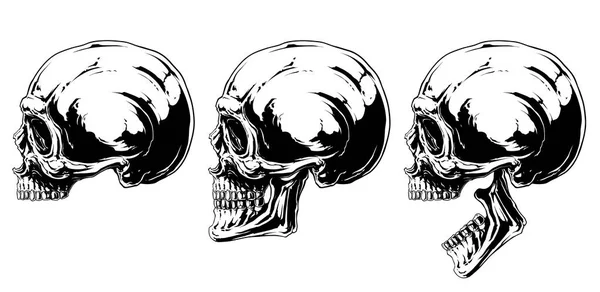 Gráfico preto e branco conjunto de projeção do crânio humano — Vetor de Stock