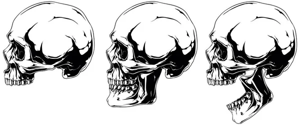 White scary graphic human skull in profile projection set — Stock Vector