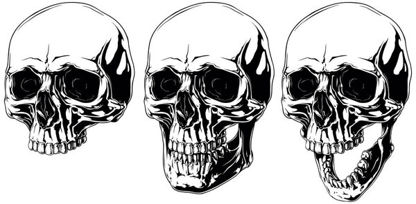 Detailed scary graphic human skull with black eyes set