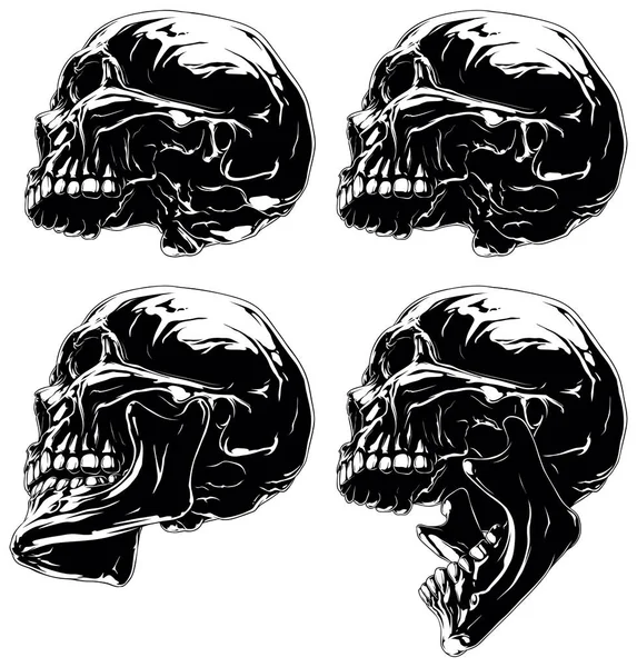 Detailed graphic skull in profile projection set — Stock Vector