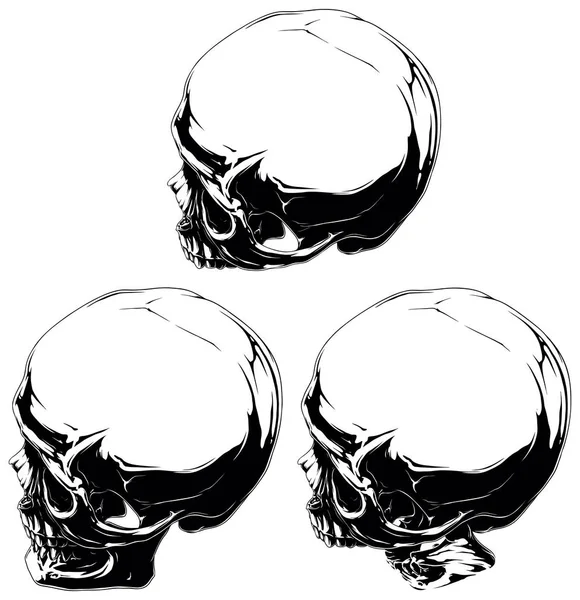 Detallado conjunto de tatuaje de cráneo blanco y negro — Vector de stock