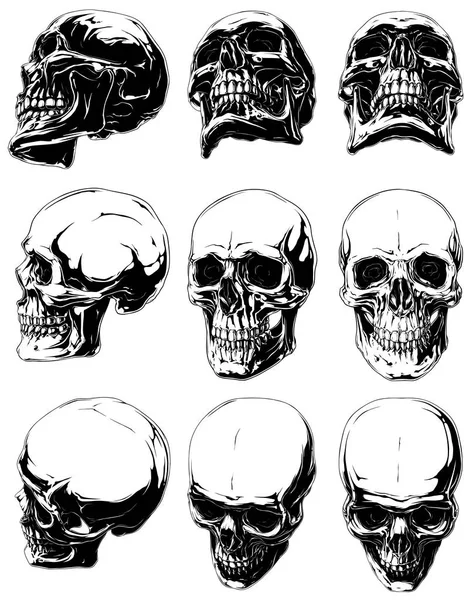 Detailed graphic black and white human skulls set — Stock Vector