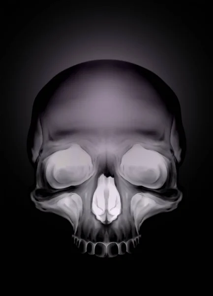 Black graphic skull with white eyes X-ray style — Stock Photo, Image