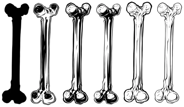 Set vettoriale grafico in bianco e nero con osso umano — Vettoriale Stock