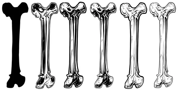 Set vettoriale grafico in bianco e nero con osso umano — Vettoriale Stock