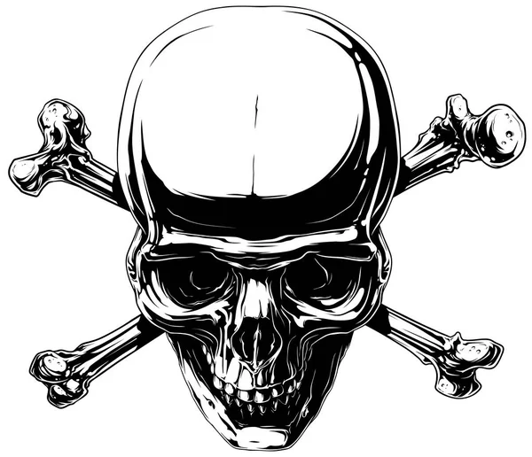 Graphic horror human skull with crossed bones — Stock Vector