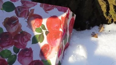 Noel oyuncaklar ile ormanda sunar