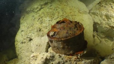 Catacombs sular altında: Galeri boyunca fotoğraf makinesinin hareketi.