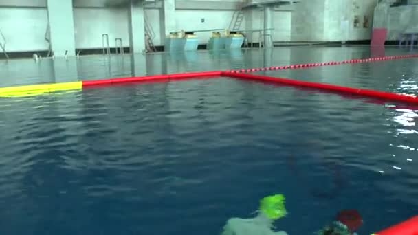 Aquathlon (su altında havuzda eğitim güreş). — Stok video