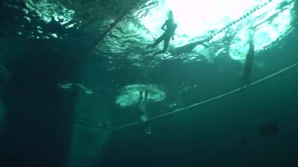 Aquathlon (podwodne wrestling), szkolenie w basenie. — Wideo stockowe