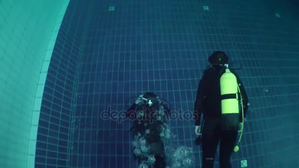 Education diving in the pool. — Stock Video