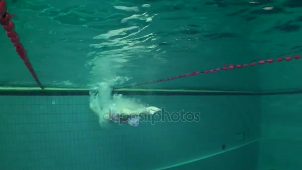 Pemandangan bawah air perenang wanita.. — Stok Video