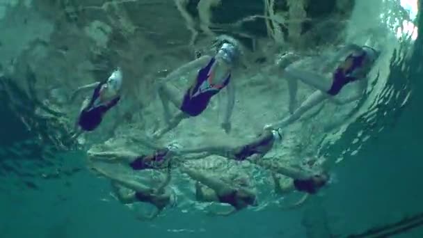 Underwater view of Synchronized Swimming. — Stock Video