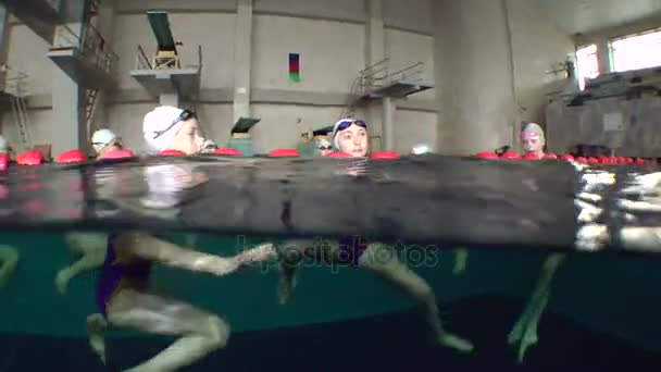 Vista submarina de la natación sincronizada. — Vídeos de Stock