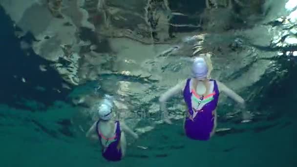 Unterwasser-Blick auf Synchronschwimmen. — Stockvideo