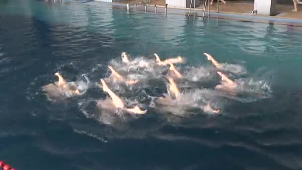 Natation synchronisée, entraînement en équipe. — Video