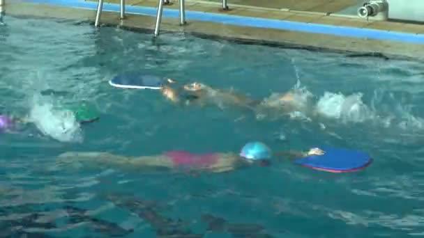 Training of children in the swimming pool. — Stock Video