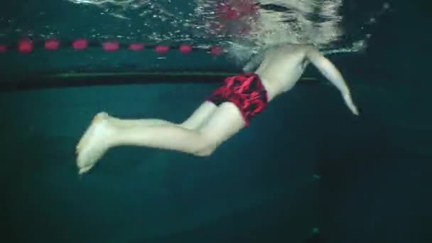 Underwater view of swimmers. — Stock Video