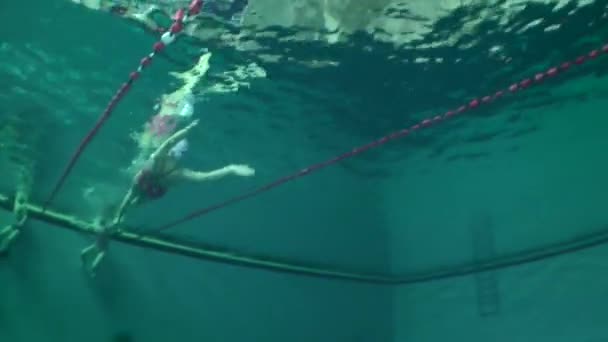 Undervattensutsikt över flicka simmare. — Stockvideo