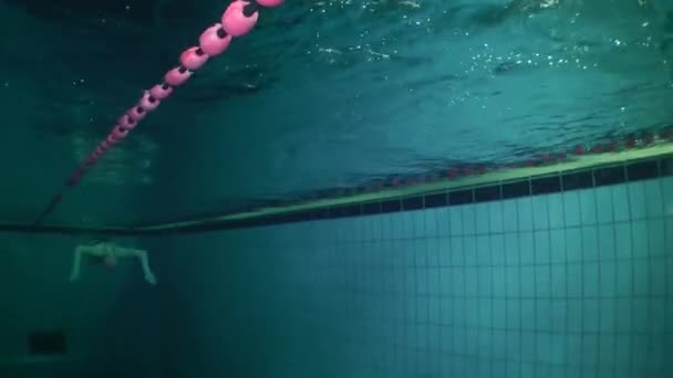 Unterwasser-Ansicht der Schwimmerin. — Stockvideo