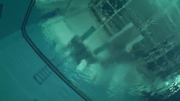 Plongée sportive (saut à l'eau). — Video