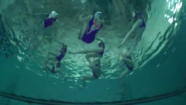 Podwodny widok na pływanie synchroniczne. — Wideo stockowe