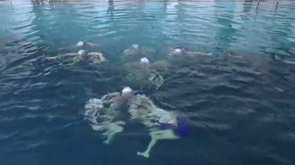 Nuoto sincronizzato, allenamento di squadra. — Video Stock