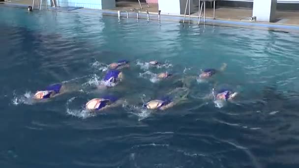 Nuoto sincronizzato, allenamento di squadra. — Video Stock