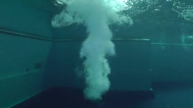 Spor dalışı (suya atlama)).