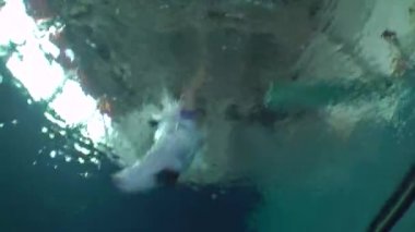 Spor dalışı (suya atlama)).