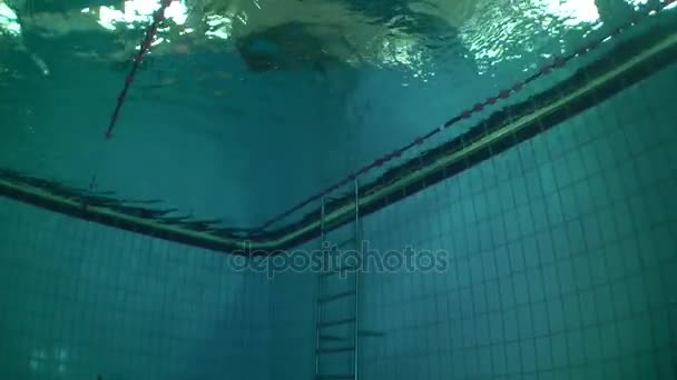 Underwater view of girl-swimmer. — Stock Video