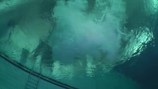 Esporte Mergulho (Saltar para a água). — Vídeo de Stock