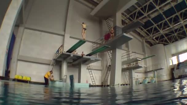 Sport Duiken (Springen naar water). — Stockvideo