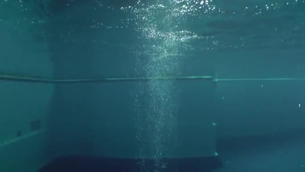 Sport Duiken (Springen naar water). — Stockvideo