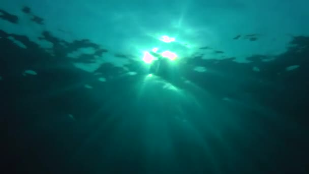 Sunlight is broken on the rays by the excitement of the water surface. — Stock Video