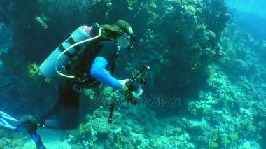 kameramanların çekim balıklar 