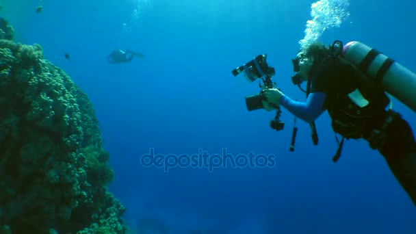 Ψάρια σκοποβολή videographers — Αρχείο Βίντεο