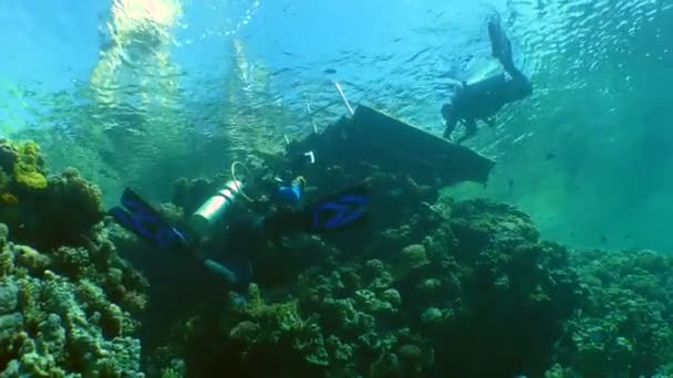 Underwater photographer on coral reef. — Stock Video