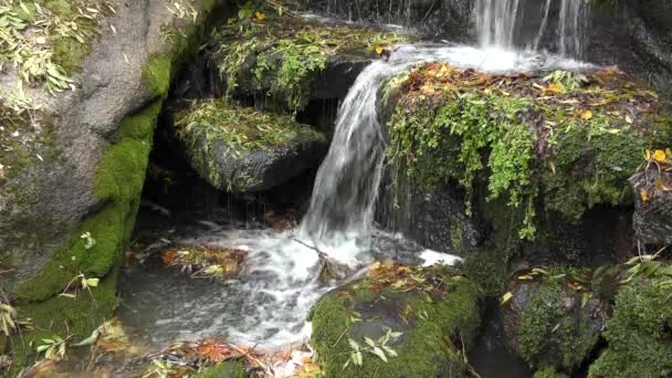 Красивий водоспад в горах — стокове відео