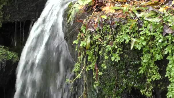 Hermosa cascada en las montañas — Vídeo de stock