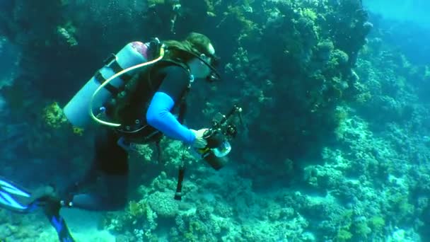 Onderwater fotograaf op een koraal rif. — Stockvideo