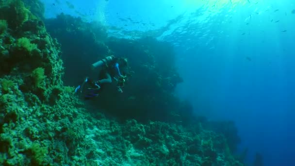 Photographe sous-marin sur un récif corallien . — Video