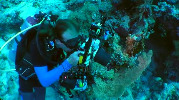 Onderwater fotograaf op een koraal rif. — Stockvideo