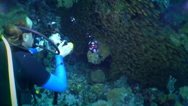 Fotógrafo submarino en un arrecife de coral . — Vídeos de Stock