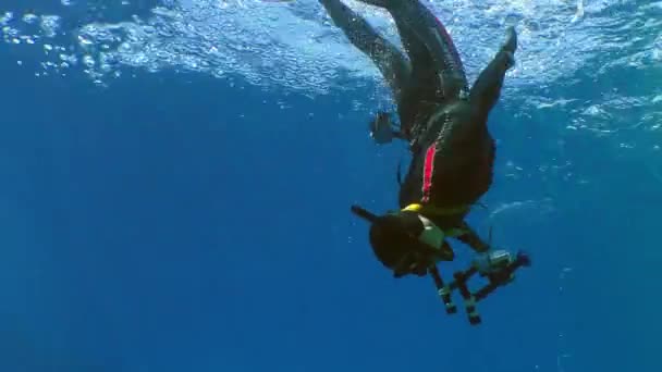 Volný potápěč s kamerou — Stock video