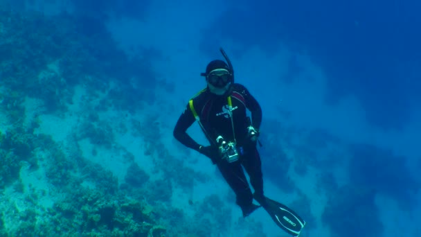 De freediver met de camera — Stockvideo