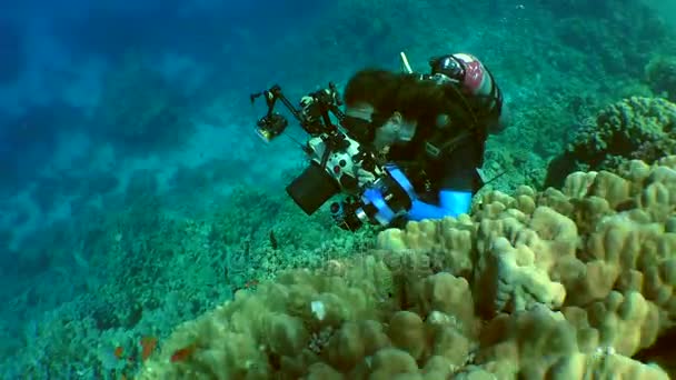 Fotógrafo subaquático num recife de coral . — Vídeo de Stock