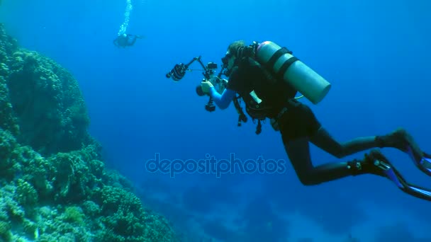 Fotógrafo submarino en un arrecife de coral . — Vídeo de stock