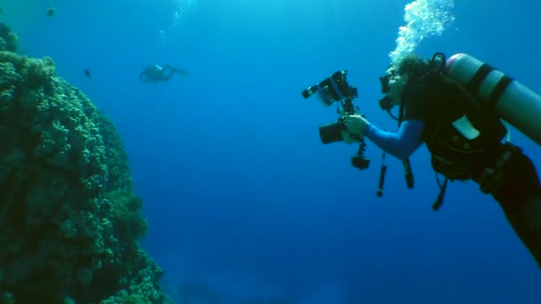 Onderwater fotograaf op een koraal rif. — Stockvideo